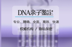 银川亲子鉴定到哪里办理,银川做亲子鉴定收费标准 银川亲子鉴定到哪里办理,银川做亲子鉴定收费标准
