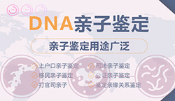 银川DNA鉴定在哪家医院能办理,银川做亲子鉴定如何办理 银川DNA鉴定在哪家医院能办理,银川做亲子鉴定如何办理