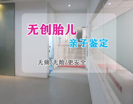 在银川怀孕了怎么做产前亲子鉴定,在银川怀孕了办理亲子鉴定准确性高吗 在银川怀孕了怎么做产前亲子鉴定,在银川怀孕了办理亲子鉴定准确性高吗