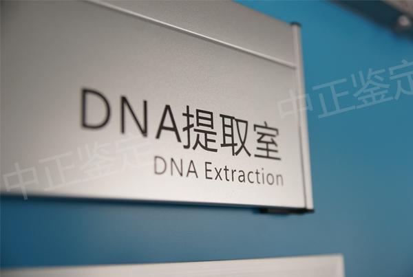 在银川怀孕了怎么做产前亲子鉴定,在银川怀孕了办理亲子鉴定准确性高吗 在银川怀孕了怎么做产前亲子鉴定,在银川怀孕了办理亲子鉴定准确性高吗